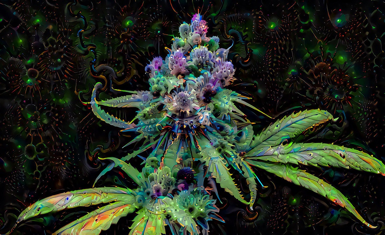 Web 3 and Defi for Cannabis Industry